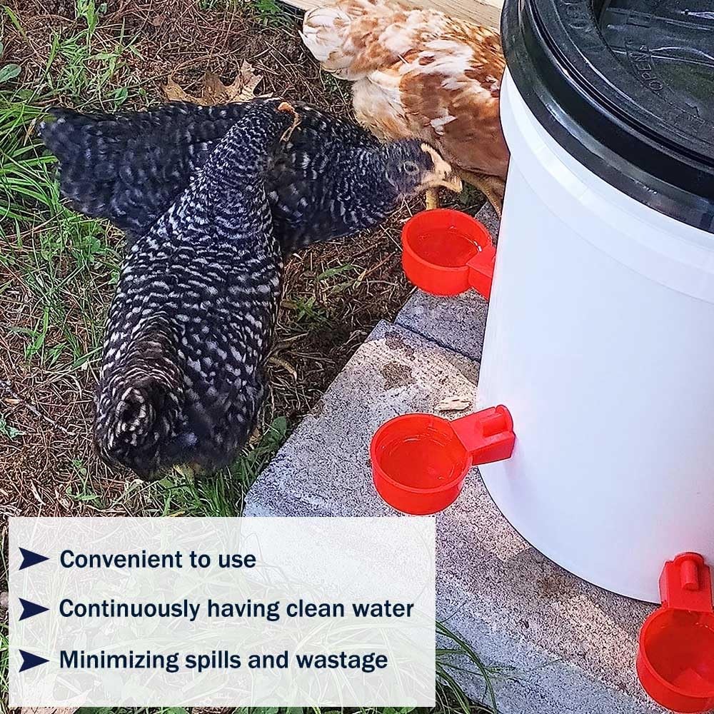 Large Automatic Chicken Waterer Cups, 6pcs Turkey Feeder Red Light