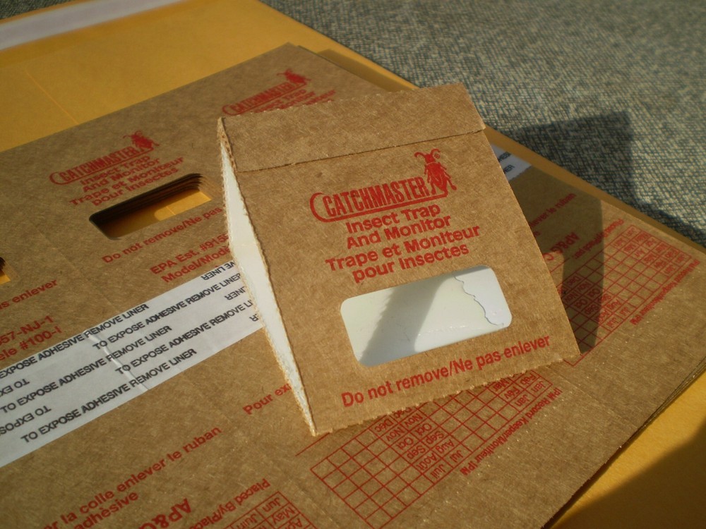 Insect Bug Roach Sticky Trap Qty 300 (Full Box)