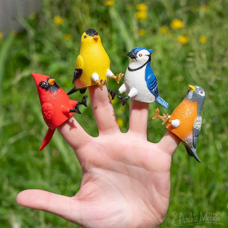 Finger Bird Feeder Birds