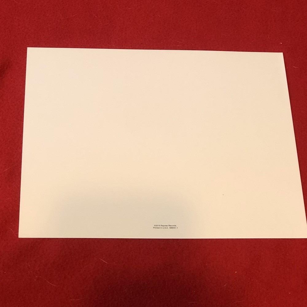 NEIL YOUNG & Crazy Horse live photo 8x10 B&W Print