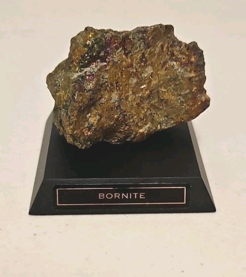 Precious Rock Collection With Display Case- Includes 16