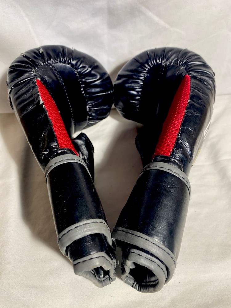 Everlast Boxing Training Gloves & Training Pad