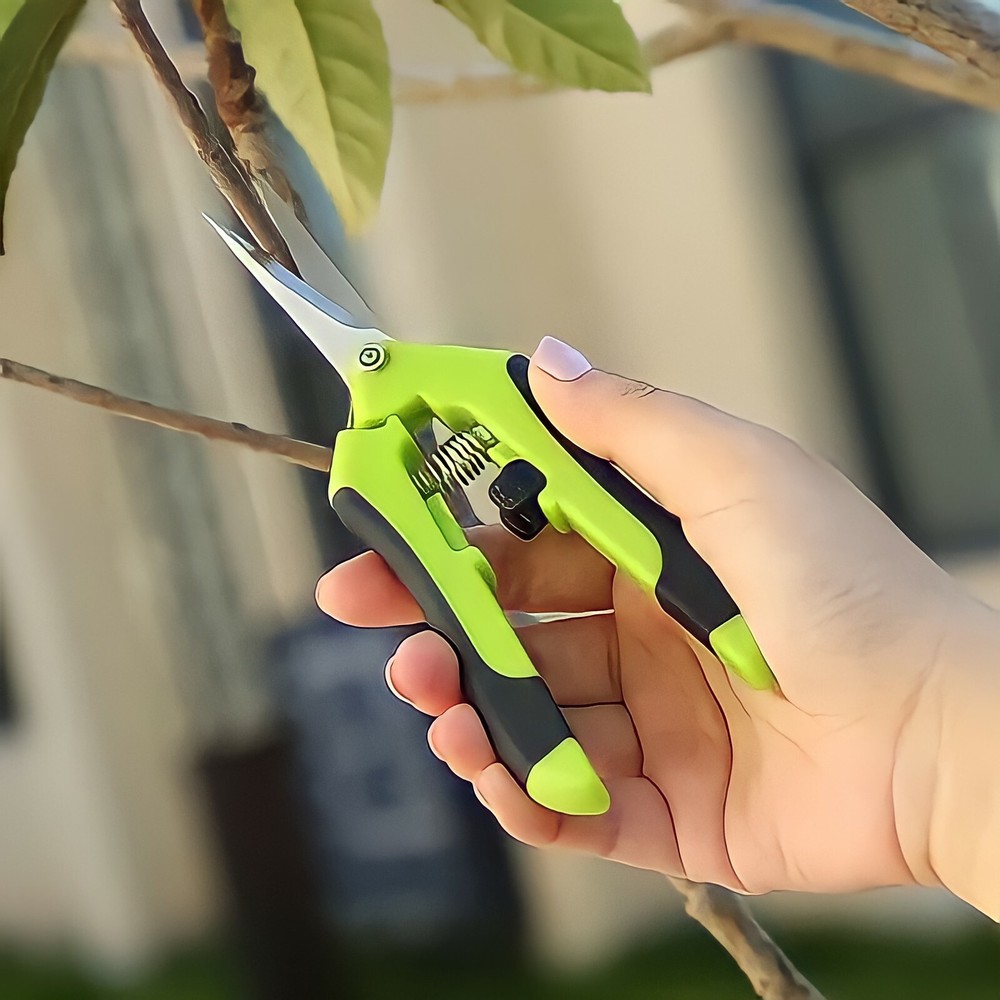 2 Pack Straight Blade Garden Scissors Bonsai Pruning Shear
