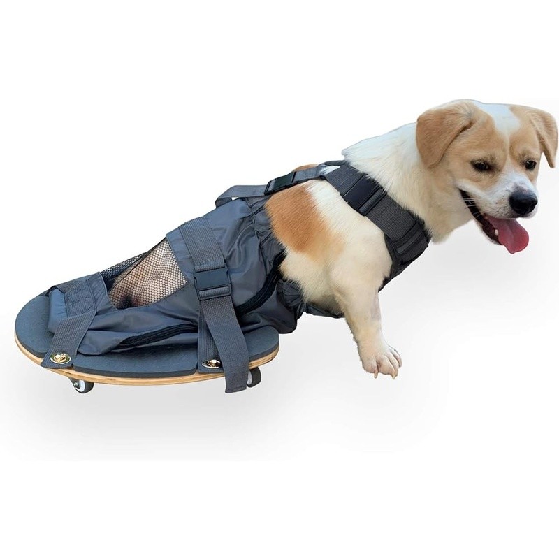 Comfortable Pet Scooter W/ Universal Silent Wheels Easy Mobility & Resting New