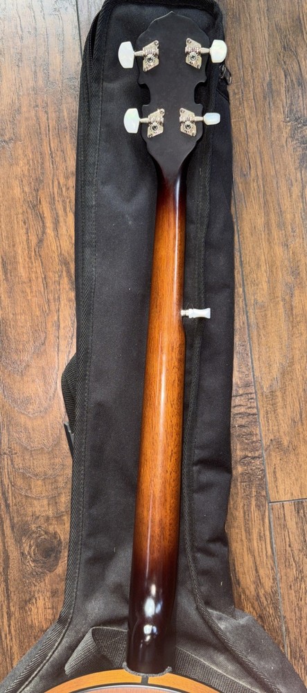 Fender 5 String Banjo & Bag Used