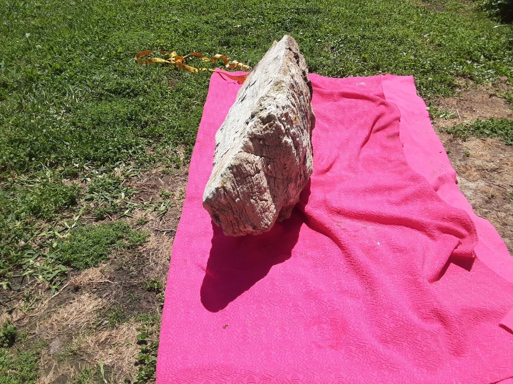 PETRIFIED LOG