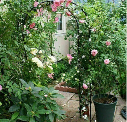 7.9FT Outdoor Yard Lawn Garden Metal Arch Arbour Plant Support Wedding Decor