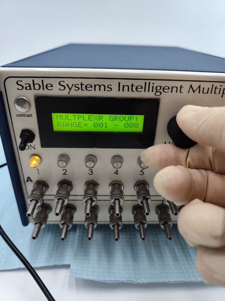 sable system intelligent multiplexer V5