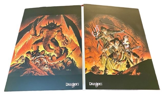 Dungeons & Dragons Lot: Guides and Posters