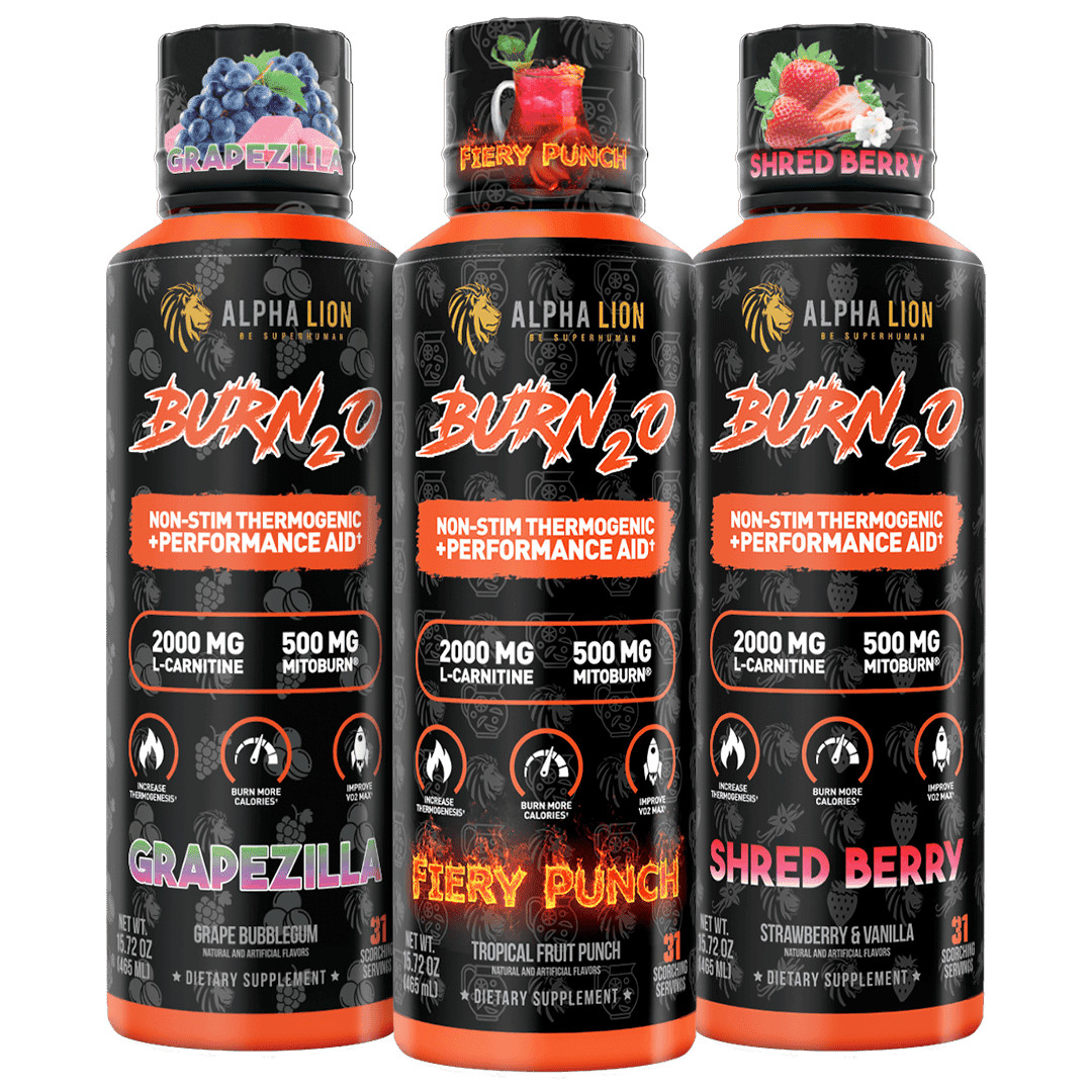 ALPHA LION BURN2O Non-Stim Stim-Free Thermogenic Performance Aid 31 Servings