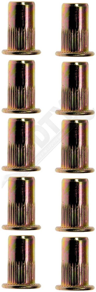 APDTY 157077 Rivet Nut - M5