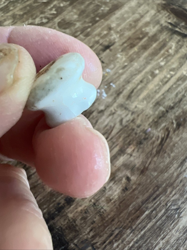Tiny Antique WHITE PORCELAIN DRAWER PULL Chip