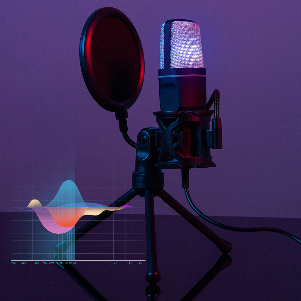 Desktop Condenser Microphone Mic Kit Broadcasting Studio Recording for PC Laptop