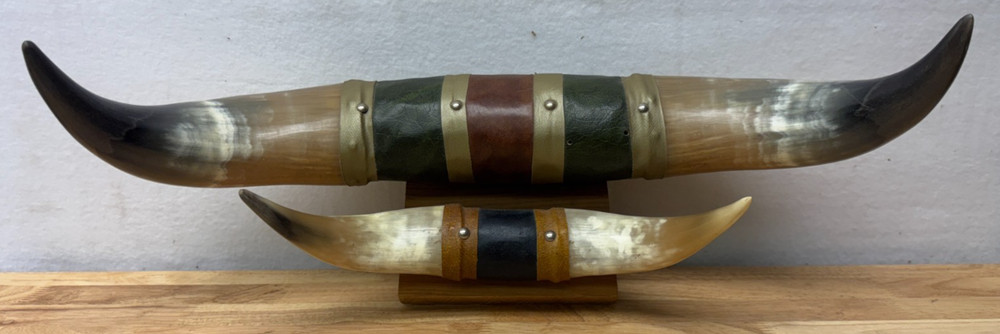 Mounted Steer Bull Horns Set