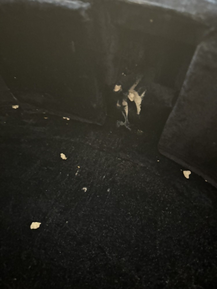 Frank Hoffman Prelude Cello