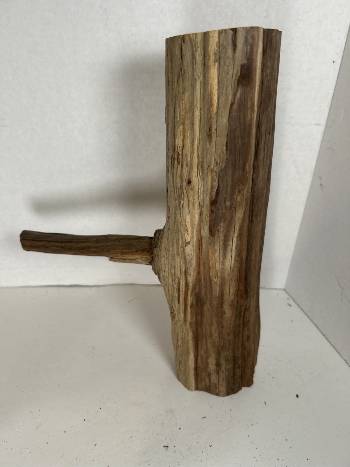 Driftwood¡ 2 Piece Set Cedar Taxidermy Beach Mountain Wedding 1 White Outside
