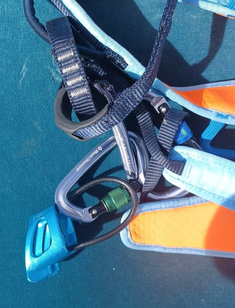 Mammut Climbing Harness