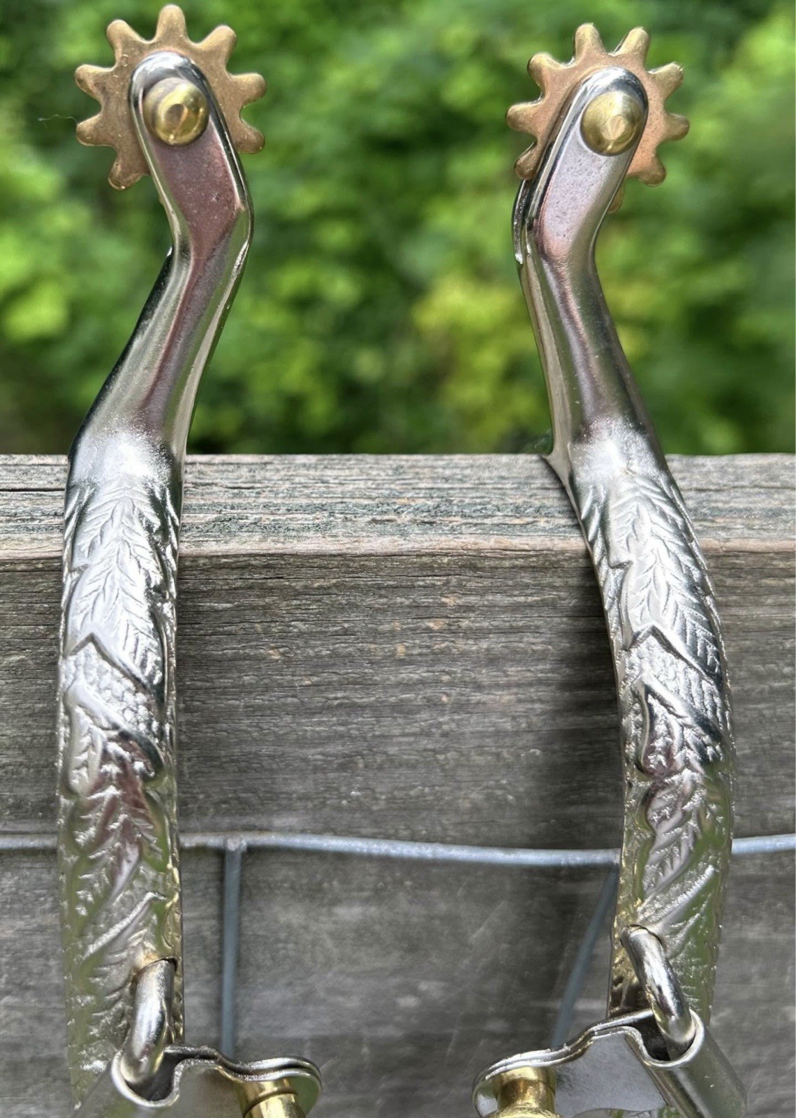 Pair Ladies Western Engraved Stainless Steel Spurs Brass Rowels And Buttons