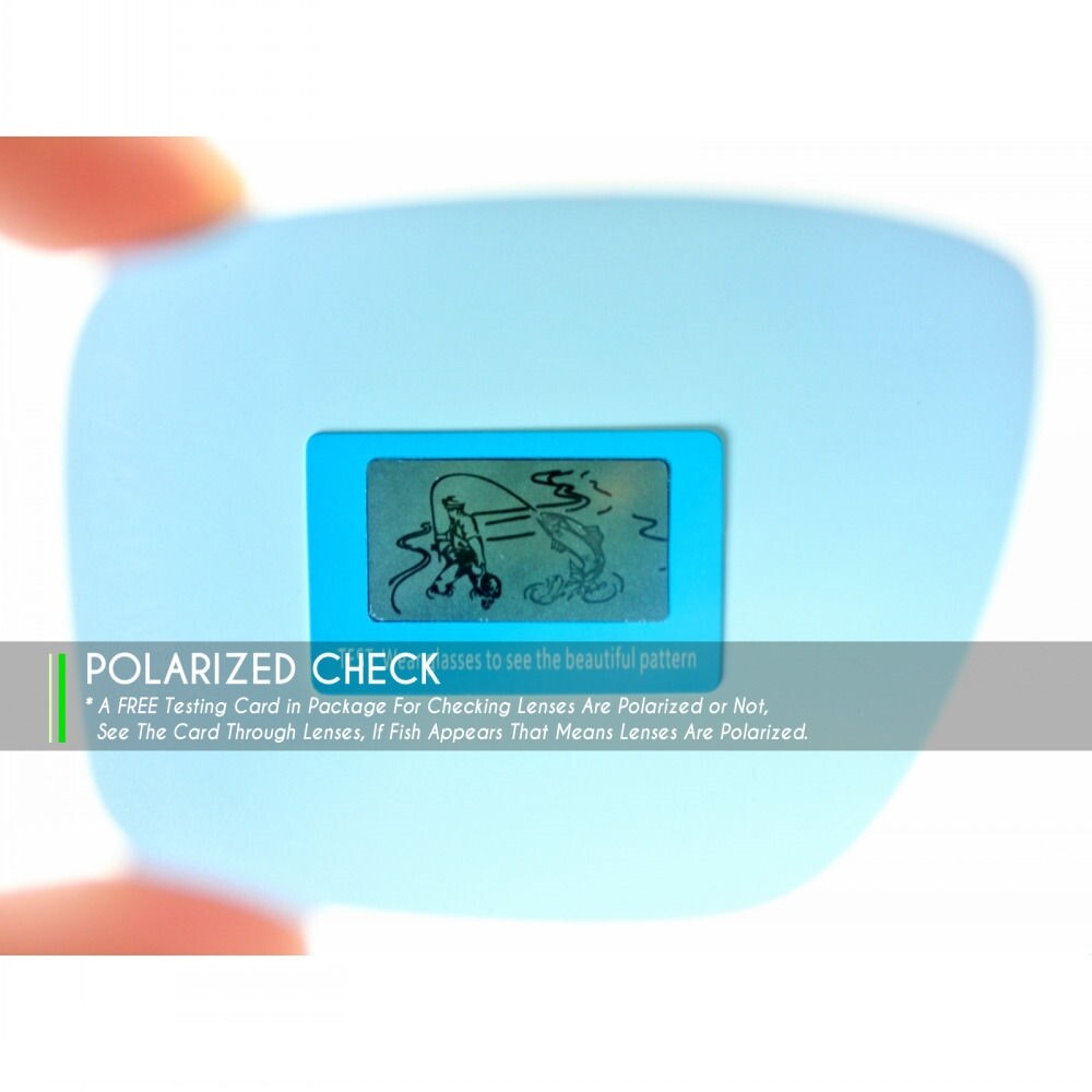 POLARIZED Replacement Lenses for Skylon Ace EV0525 Black and Silver Titanium