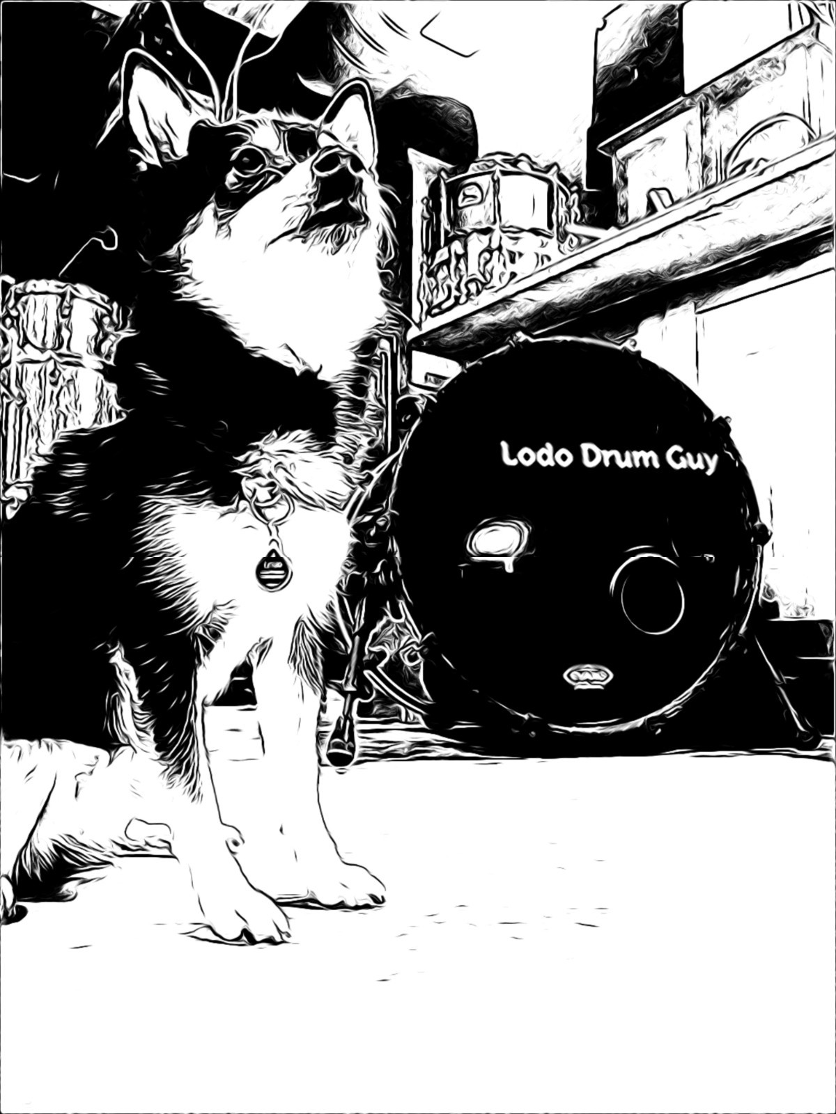 Fender PT-10 Chromatic Guitar Tuner Pedal TESTED 100% USED #VP7