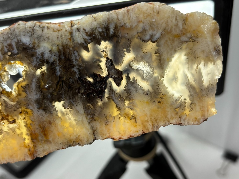 Plume Agate slab Cabbing Lapidary Combo Ship Avail Oregon