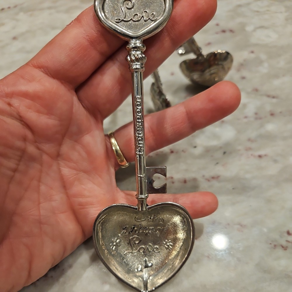 4 GANZ Collectible Measuring Spoons