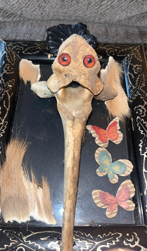 Cow Creature Vertebrae Bone Oddity OOAK Sideshow Gaff