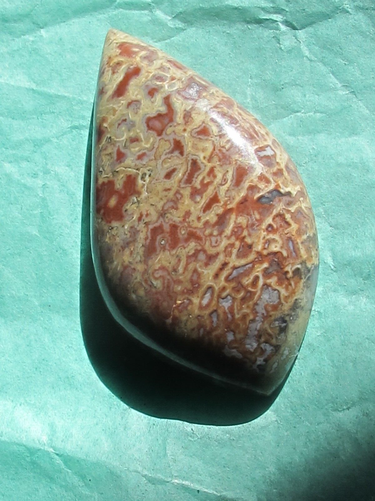 Dinosaur Bone * Large Unique Cabochon - 60 cts.