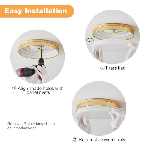 Modern Dimmable Ceiling Light with Remote, 11.8in Flush Mount Ceiling Gold