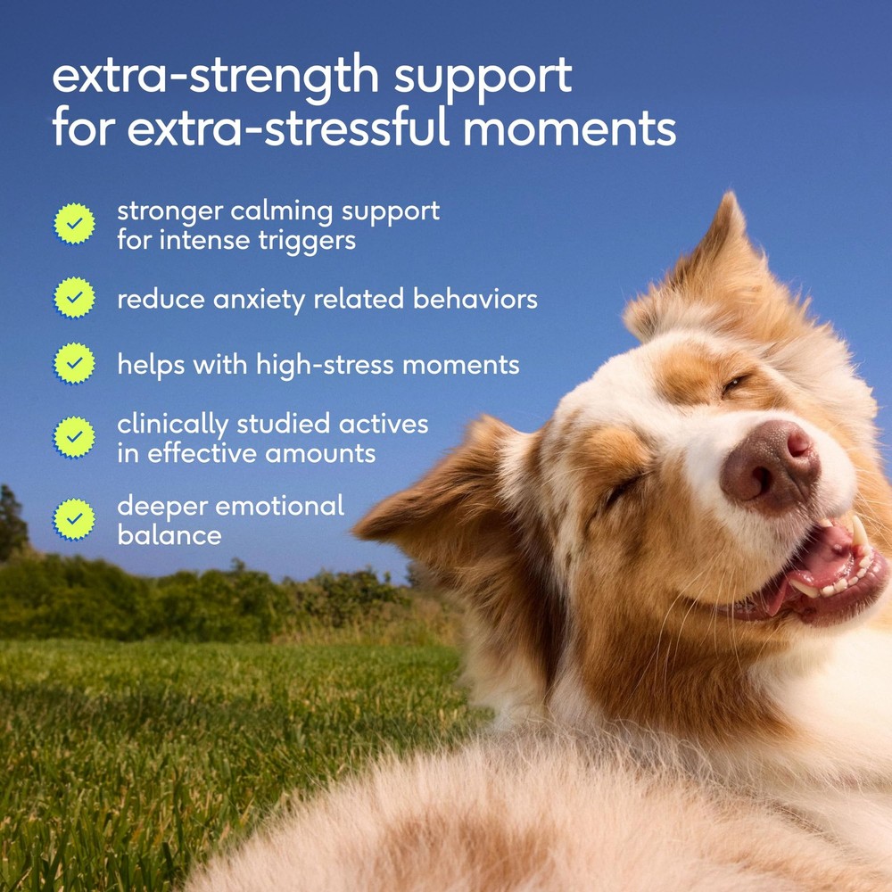 Native Pet Advanced Calming Chews for Dogs Medium Breed, Calm