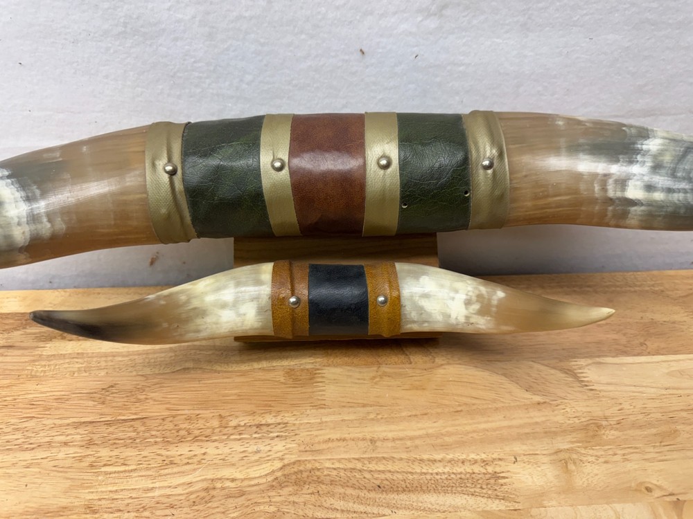 Mounted Steer Bull Horns Set