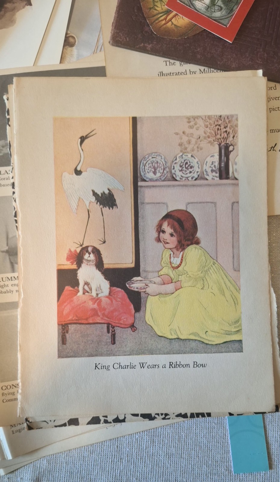 Vintage & Antique Paper Assorted Ephemera for Collage, Decoupage, Crafts 6+ Lbs