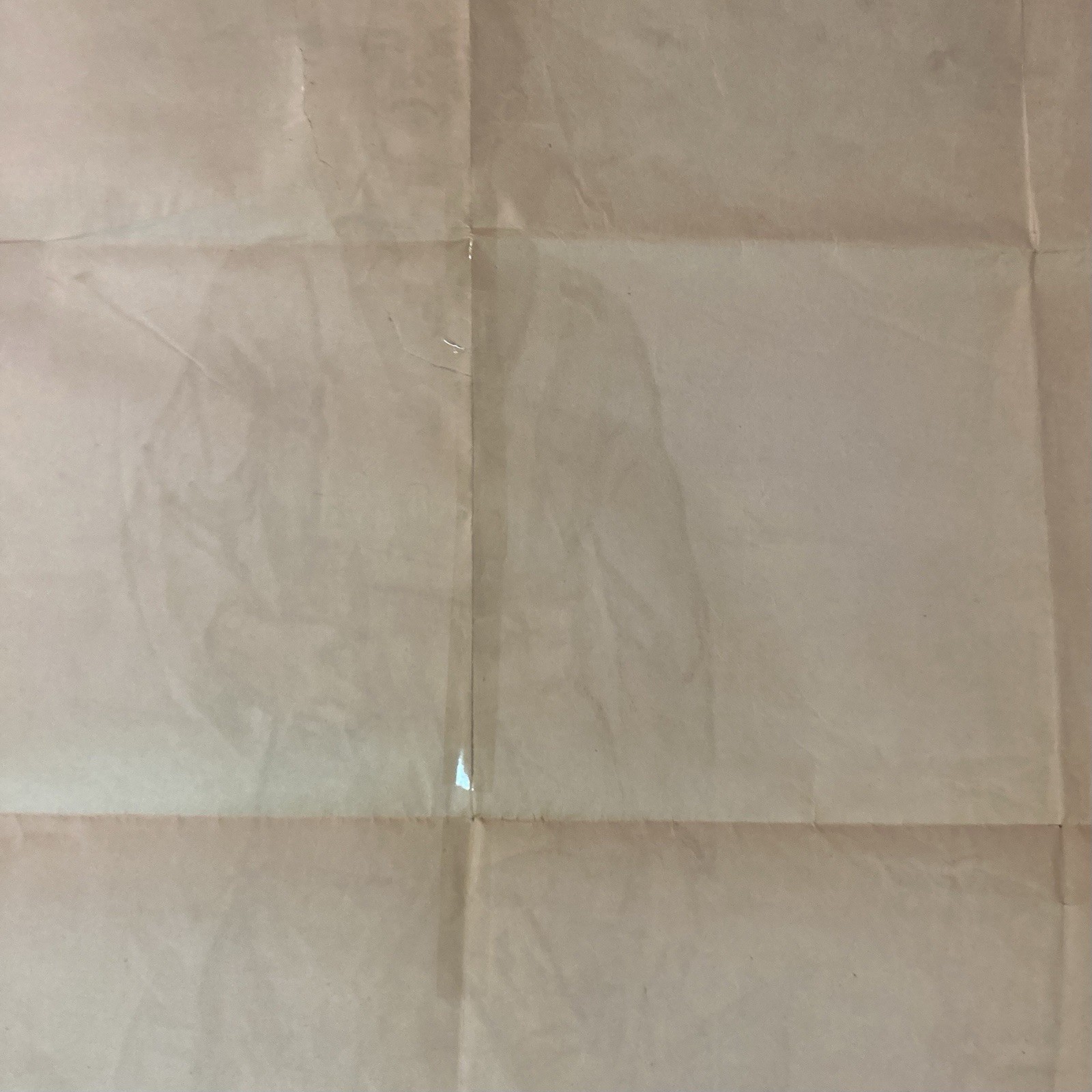 ORIGINAL WW1 Era UNITED STATES POSTER LOT OF 2 26 YANKEE DIVISION CLUB 40”x30