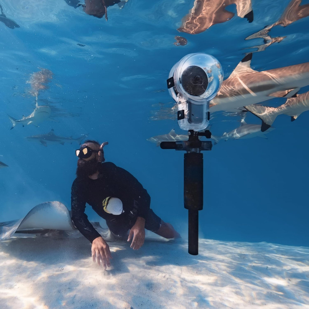 Dive Buddy
