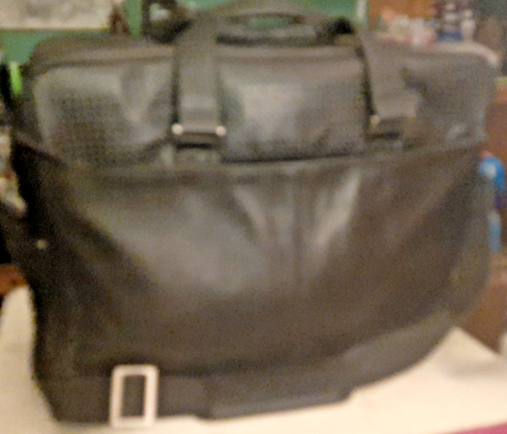 Sharp Notevision XR-10X Multimedia Projector with Leather Carrying Case