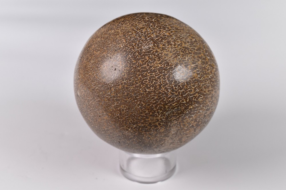 Dinosaur Bone Sphere from Morocco 7.2 cm # 20119