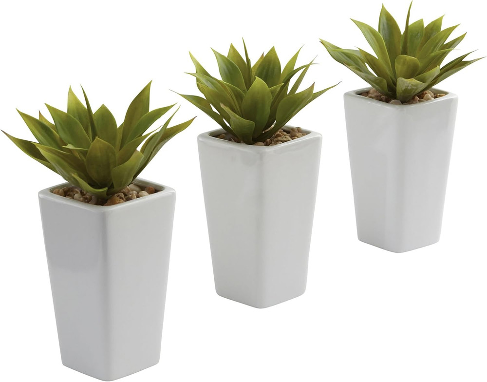 Mini Agave with Planter (Set of 3) White