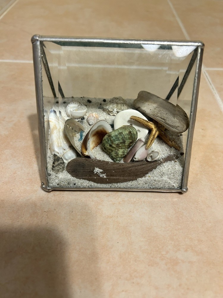 Ocean Sea shells Looking Glass Display Triangle