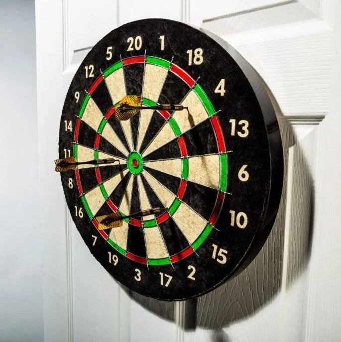 Pro Wire Bristle Dartboard