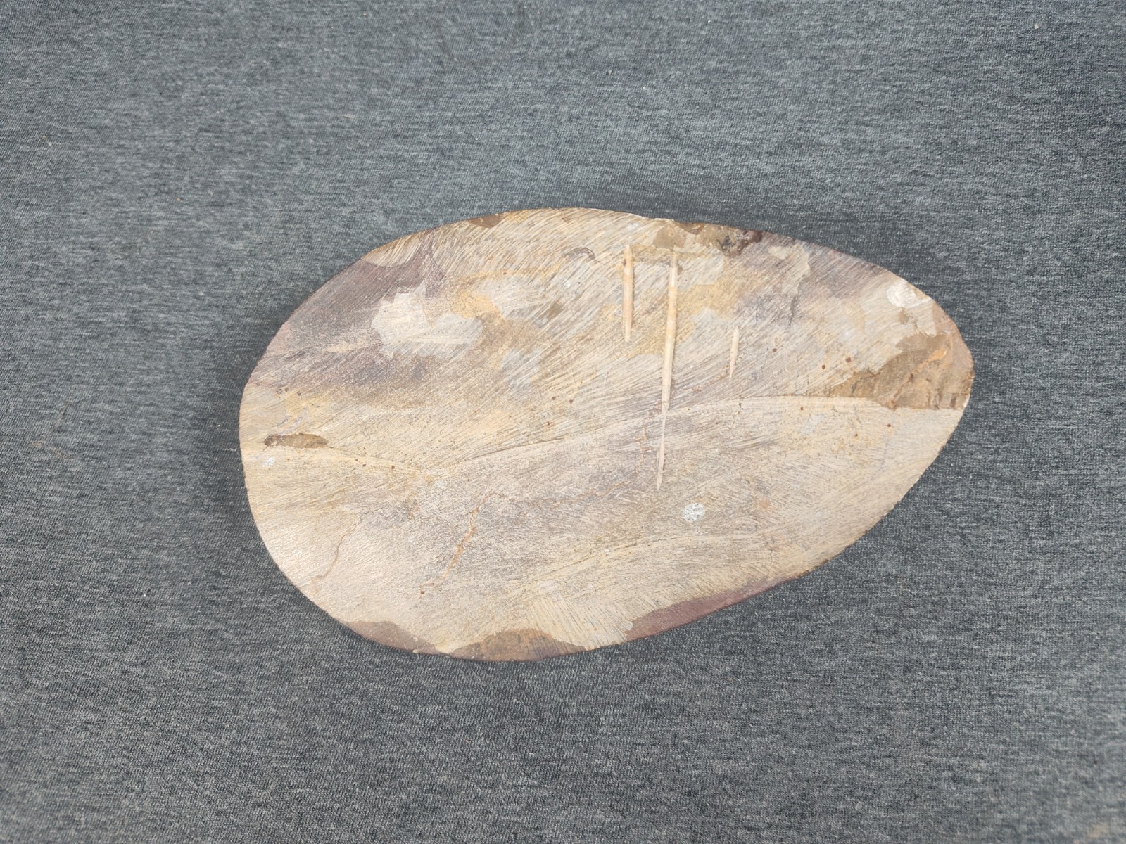 Large 7" Polished Orthoceras Fossil Specimen - Morocco 400MYO Prehistoric Decor