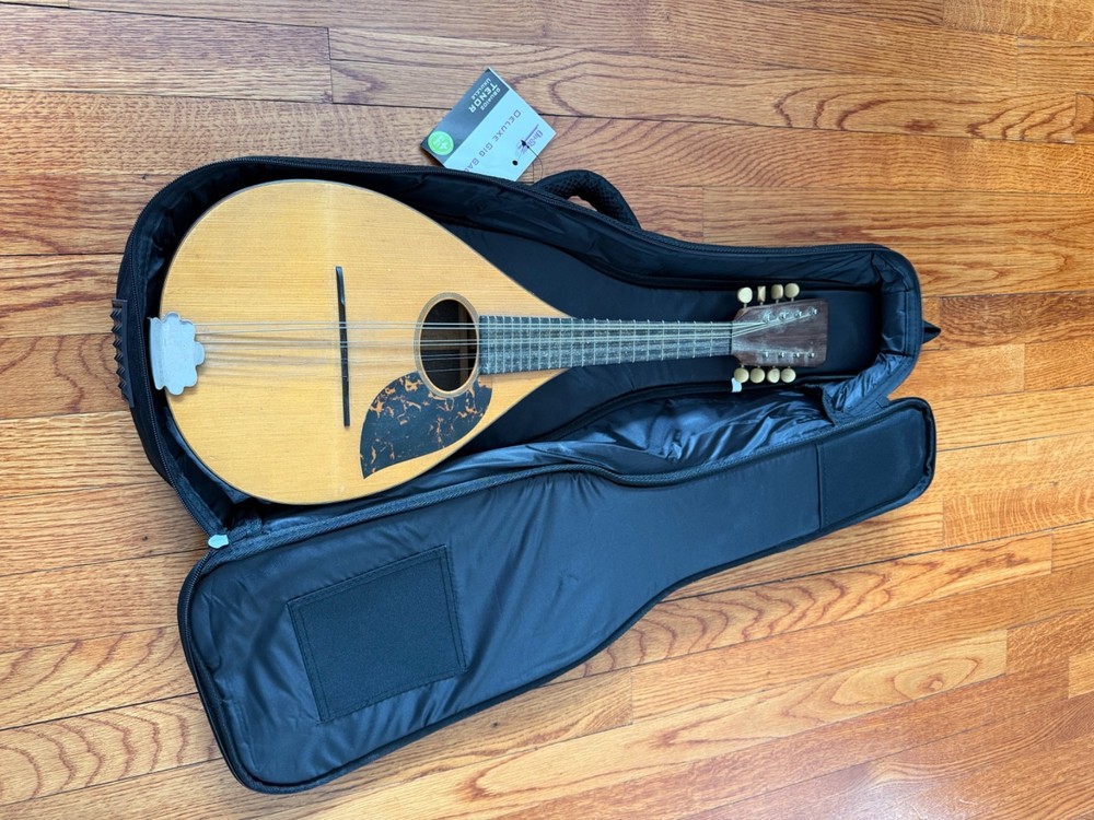 mandolins musical instrument a style