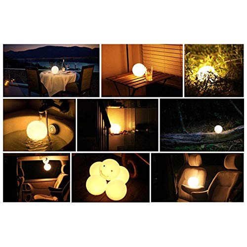 Coconut Light () Standard