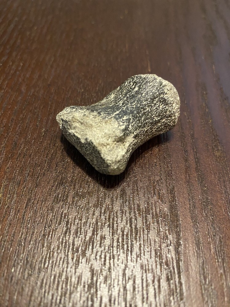 Ancient Fossil, Bone, Unusual, Age Unknown, Very Old, REAL!