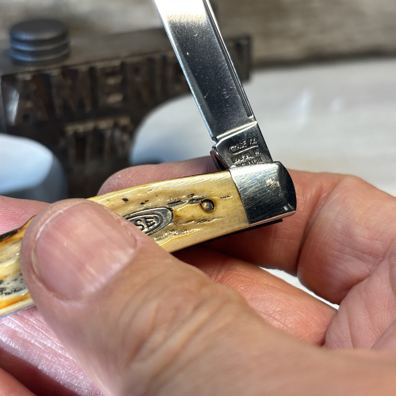 Case XX SC64052 1993 4 Blade Congress Pocket Knife Second Cut Bone Stag