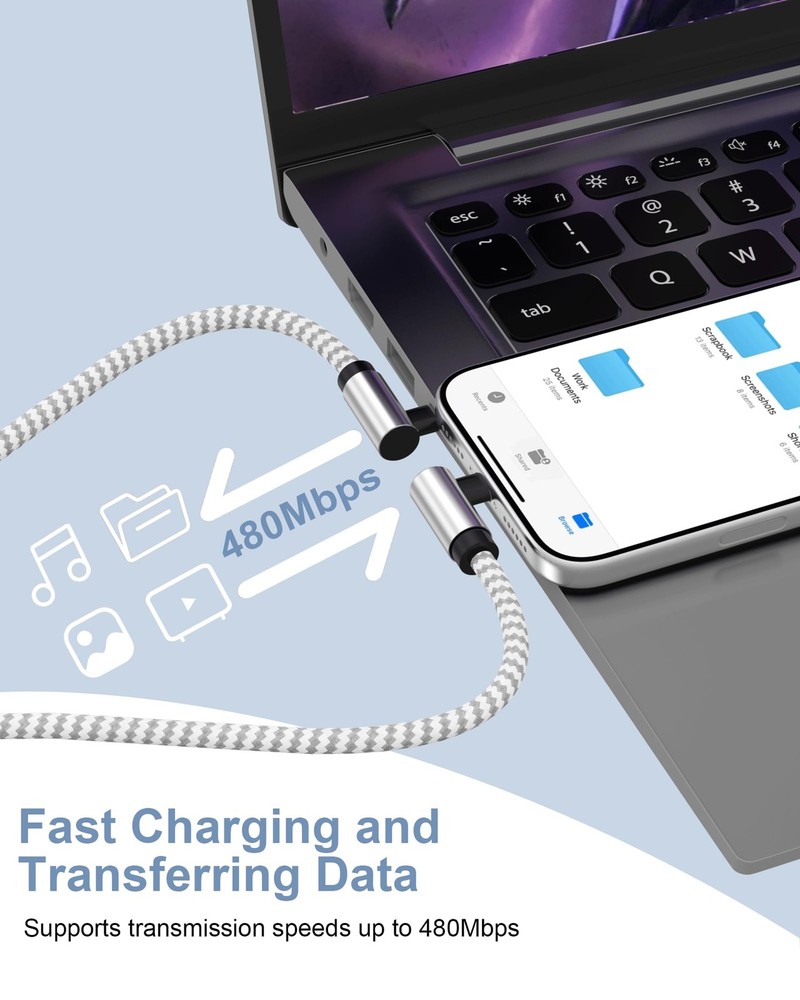 2Pack 10ft USB C to C Cable 60W, Long Type C C Fast 10FT, Silver