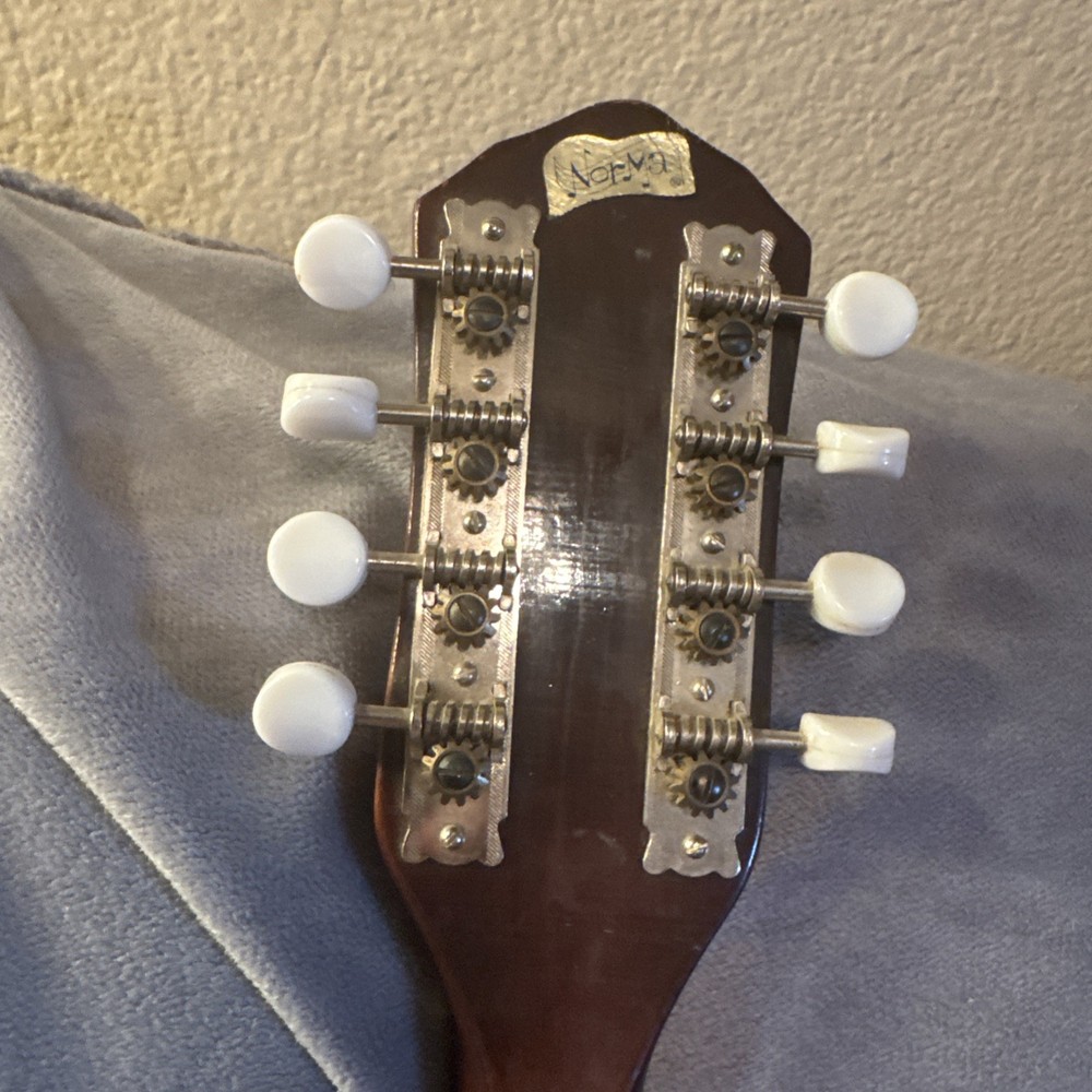 60’s70’s Norma Electric Mandolin