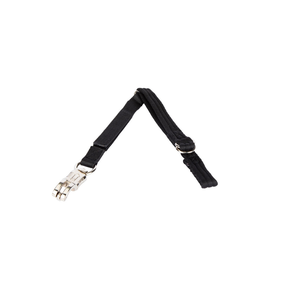 Breakaway Trailer Tie