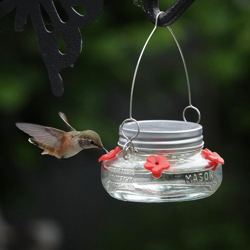 Mason Jar Hummingbird Dish Feeder, Clear