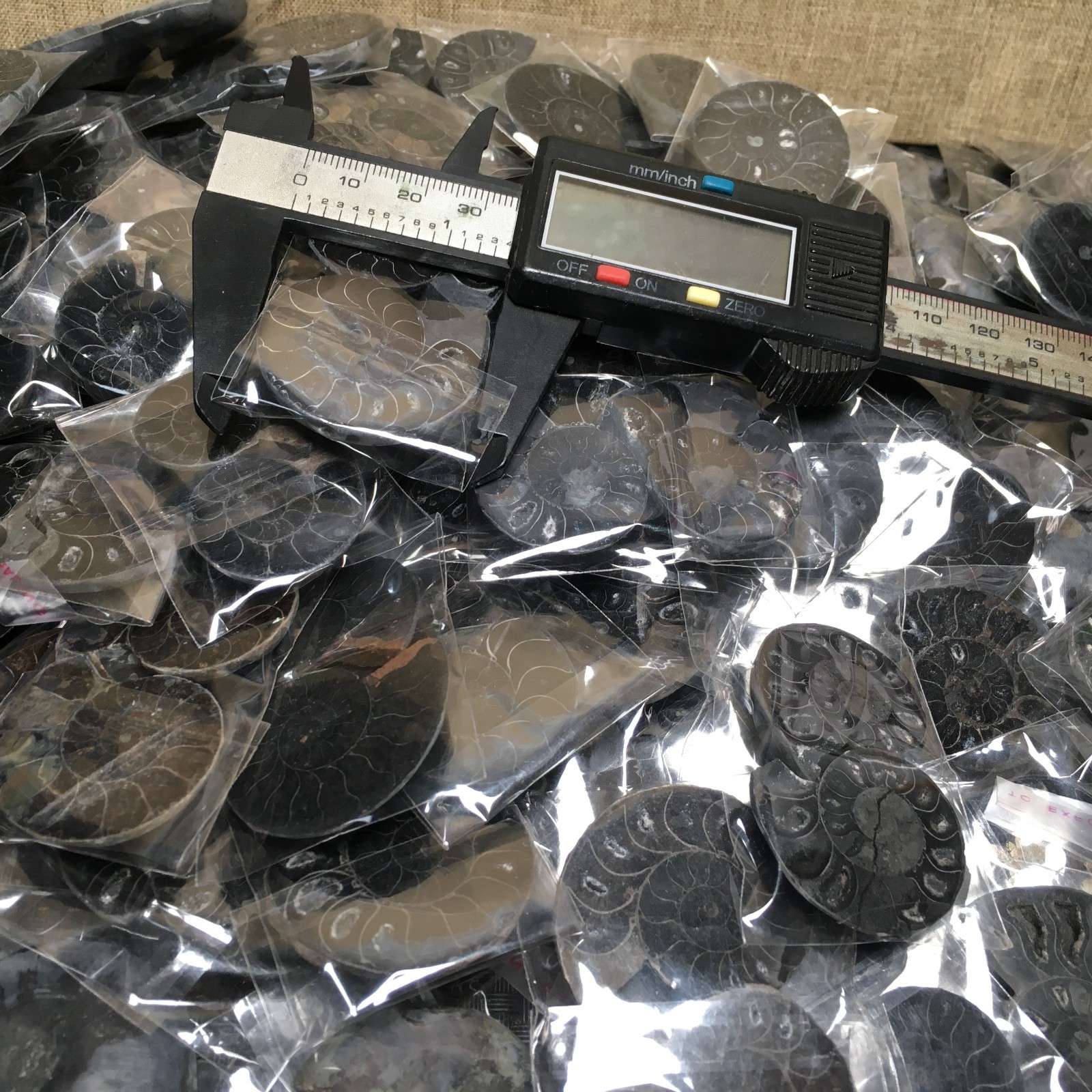 10 Pairs of Split black Ammonite Specimen Shell Healing