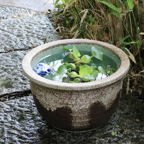 No.10 Gray Drip-Glazed Water Lily Bowl, Shigaraki—Goldfish/Medaka [su-0194]